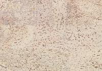 Пробковый пол Corkstyle Natural Cork Fantasie Creme